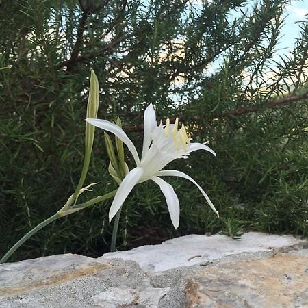 Ca' Di Bianca Hotel Moneglia Buitenkant foto